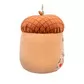 Мягкая игрушка Squishmallows &ndash; Жёлудь Мак (19 cm) - SQHV00028_5.jpg - № 5
