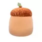 Мягкая игрушка Squishmallows &ndash; Жёлудь Мак (19 cm) - SQHV00028_4.jpg - № 4