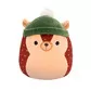 М'яка іграшка Squishmallows &ndash; Їжак Ганс (19 cm) - SQHV00031_1.jpg - № 1