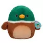 М'яка іграшка Squishmallows - Крижень Ейвері (30 cm) - SQCR05616_7.jpg - № 7