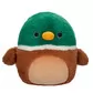 М'яка іграшка Squishmallows - Крижень Ейвері (30 cm) - SQCR05616_1.jpg - № 1