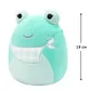 Мягкая игрушка Squishmallows - Жабка Нови (19 cm) - SQER01230_2.jpg - № 2