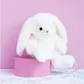 Мягкая игрушка Histoire d'Ours - Кролик (24 cm) - HO2815_4.jpg - № 4