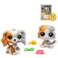 Игровой набор Littlest Pet Shop - Друзья-двойники - 00626_3.jpg - № 3