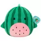 М'яка іграшка Squishmallows - Кит-кавунчик Крістофер (30 см) - SQCR07967_7.jpg - № 7