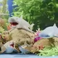 Дисплей стретч-игрушек серии Legend of animals Макси - Хранители океана(10шт) - 106-CN24-CDU_5.jpg - № 5