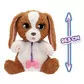 Интерактивный игровой набор Baby Paws &ndash; Щенок у ветеринара - 927681IM_4.jpg - № 4