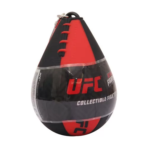 UFC2009_1.jpg
