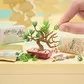 Ігровий набір Miniverse серії Nature 3" - Створи світ природи" - 546962_7.jpg - № 7