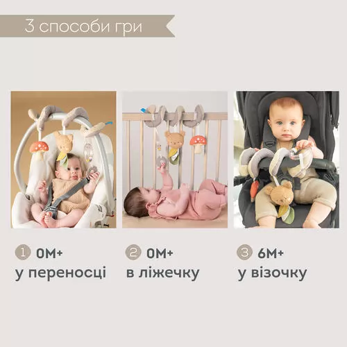 13865_5.jpg
