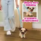 Мягкая игрушка Furreal серии Poop-A-Lots" &ndash; Мопс" - 28208_3.jpg - № 3