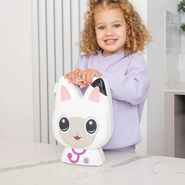 Игровой набор Gabby's Dollhouse &ndash; Кейс доктора Пэнди