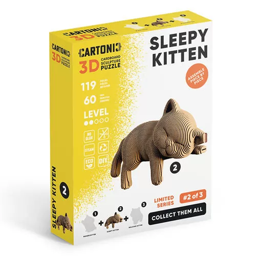 CARTMNSLEEP_1.jpg