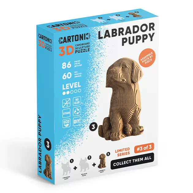 Puzzle 3D Szczeniak labradora