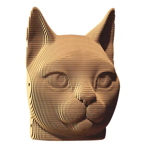 CARTCAT_2.jpg