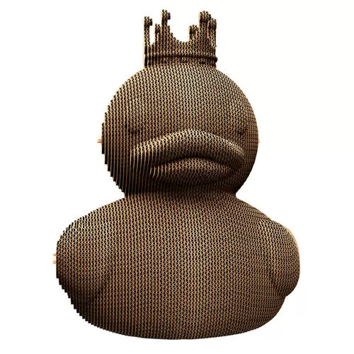 CARTDUCK_3.jpg