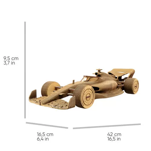 CARTRAC_5.jpg