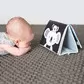 Розвиваюча Перекидна Книжка Колекції Мрійливі Коали - Пригоди Коали Кіммі - 12395_13.jpg - № 13