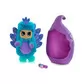 Игровой Набор Bush Baby World Серии Друзья - Паула Павлин - 2392_1.jpg - № 1