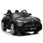 Дитячий электромобіль HarleyBella - Mercedes-Benz AMG GTR (чорний) - HL289BL_3.jpg - № 3