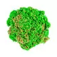Набор пескадля детскоготворчества -KINETICSAND РАКУШКА ЗЕЛЕНАЯ - 71482G_3.jpg - № 3