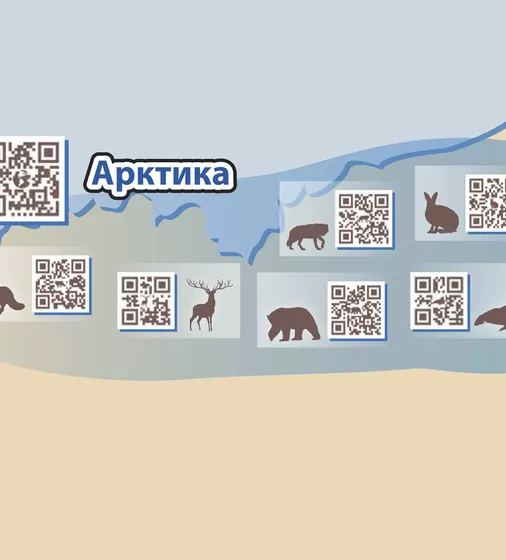 Навчальний Ігровий Набір - Тварини Арктики - WAC1701_3.jpg - № 3