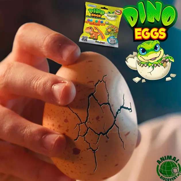 Растущая игрушка в яйце &laquo;Dino eggs&raquo; -Динозавры