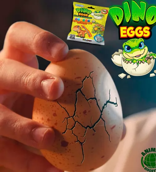 Іграшка, що зростає, в яйці «Dino eggs» - Динозаври - T110-2018_6.jpg - № 6
