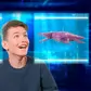 Стретч-игрушкаввидеживотного - Морские хищники. Эра динозавров (12 шт., в дисплее) - T132-2018-CDU_15.jpg - № 15